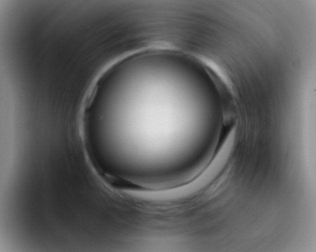 X0000091941342200709261925