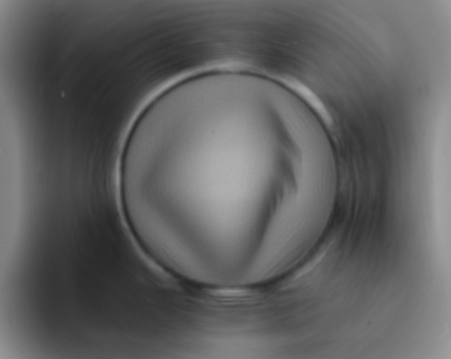 X0000091941343200709261925