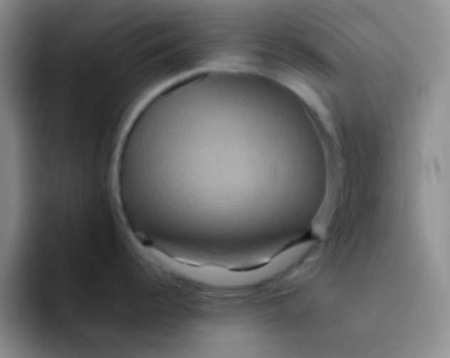 X0000091941344200709261925