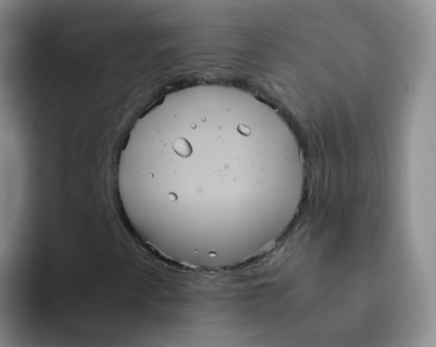 X0000091941345200709261925