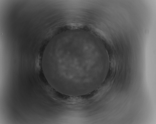 X0000091941346200709261925