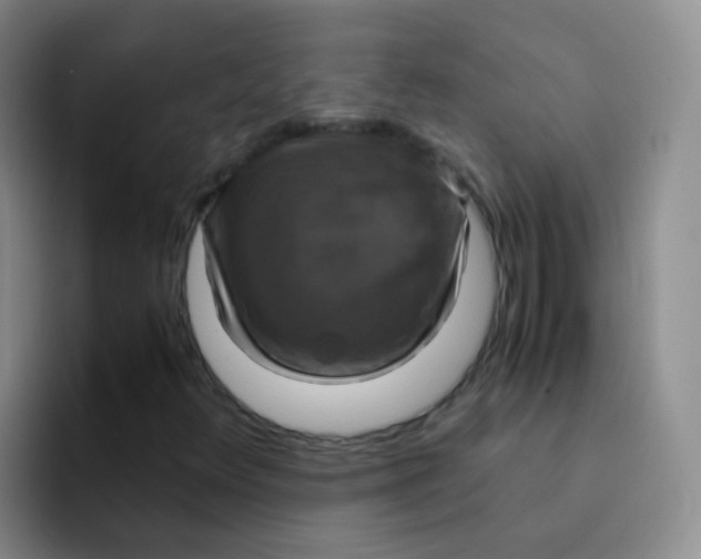 X0000091941348200709261925