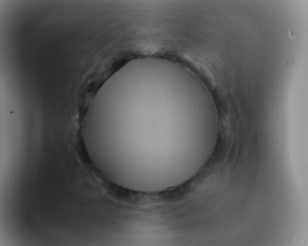 X0000091941349200709261925