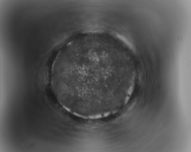 X0000091941350200709261925