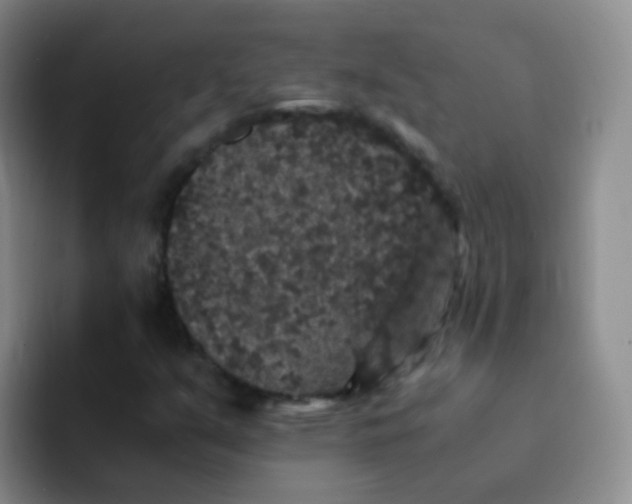 X0000091941351200709261925