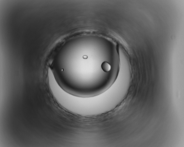 X0000091941352200709261925