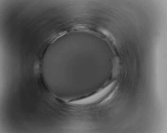 X0000091941353200709261925