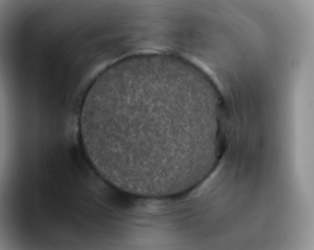 X0000091941355200709261925