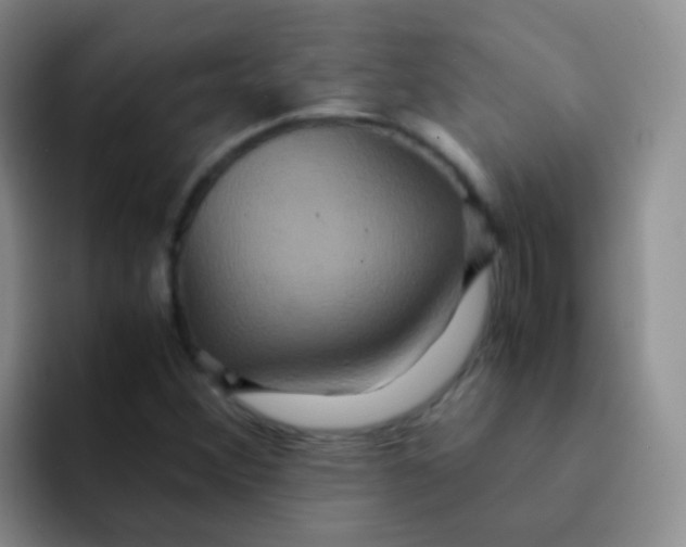 X0000091941356200709261925