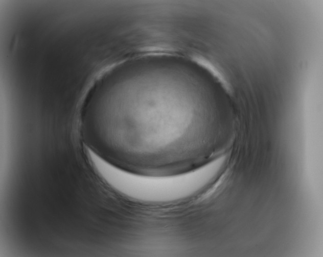 X0000091941357200709261925