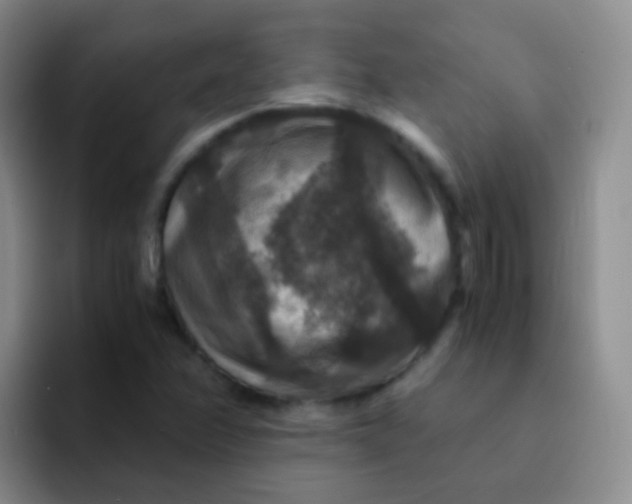 X0000091941358200709261925