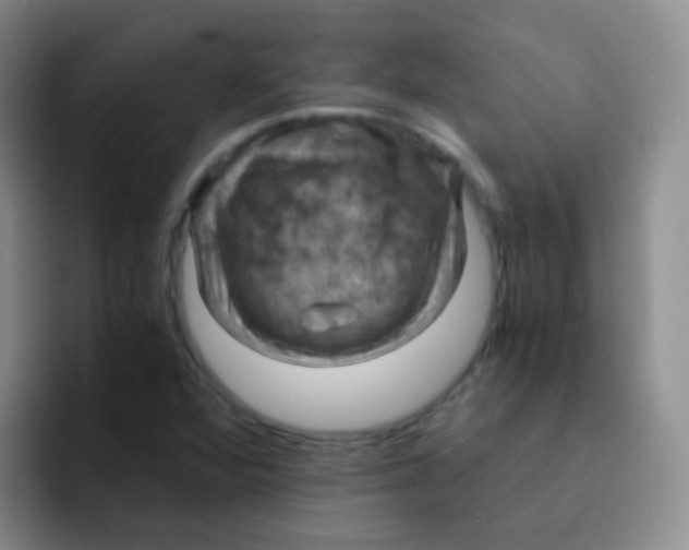 X0000091941360200709261925