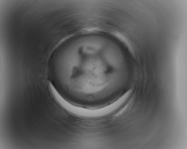 X0000091941361200709261925