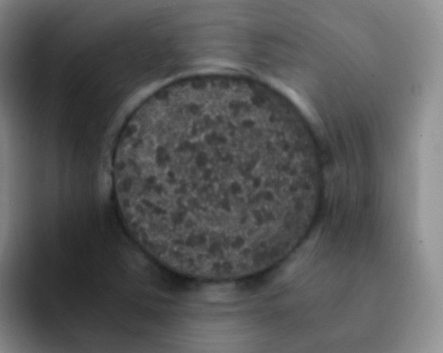 X0000091941363200709261925