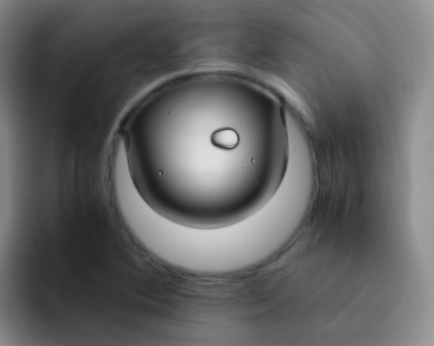 X0000091941364200709261925