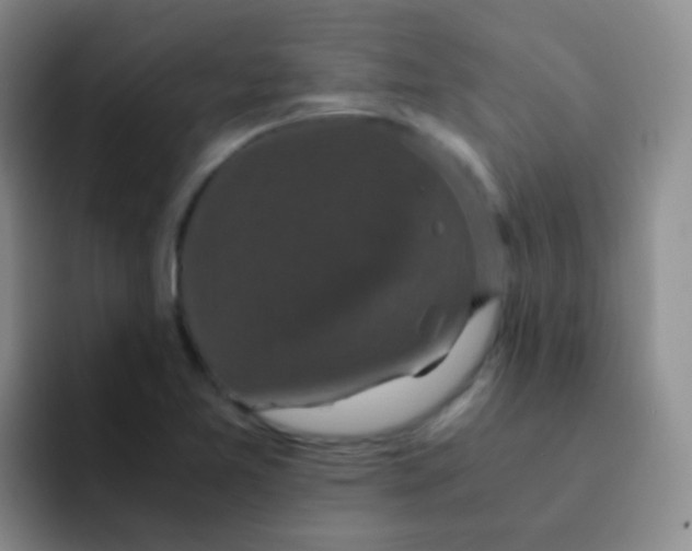 X0000091941365200709261925