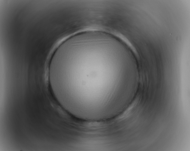 X0000091941366200709261925