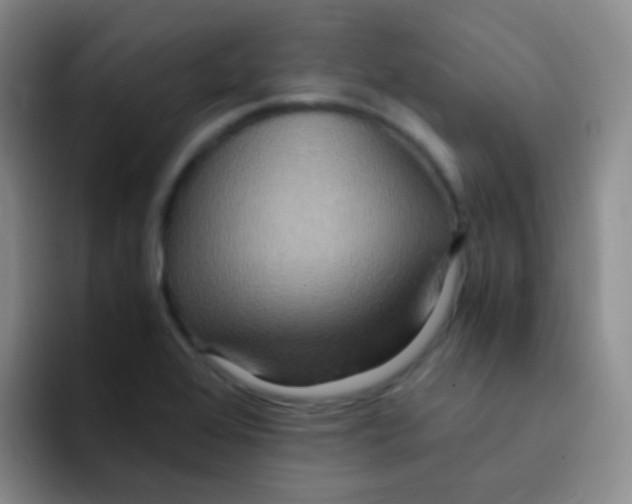 X0000091941368200709261925