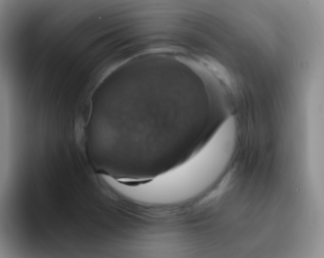 X0000091941369200709261925