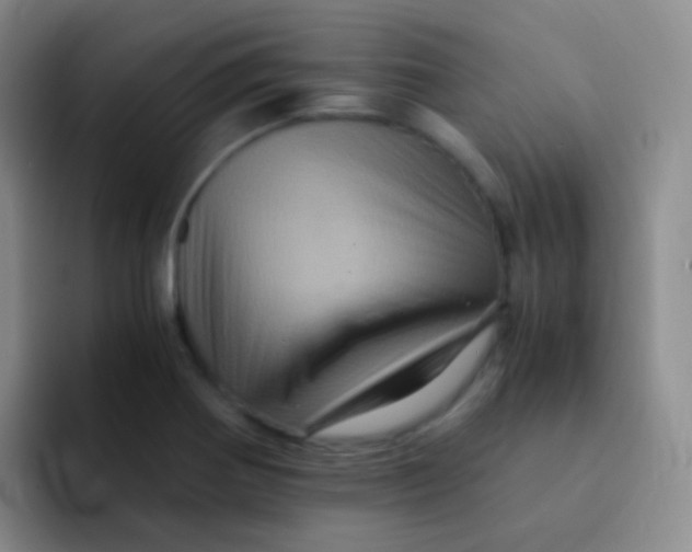 X0000091941370200709261925