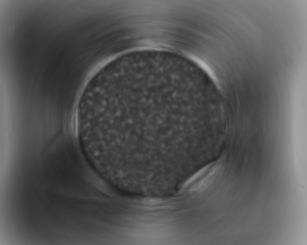 X0000091941371200709261925