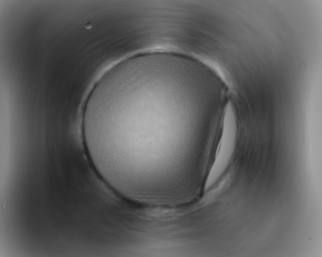 X0000091941374200709261925