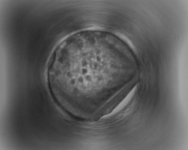 X0000091941375200709261925