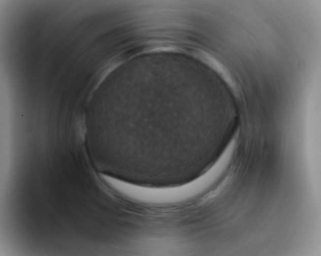 X0000091941377200709261925