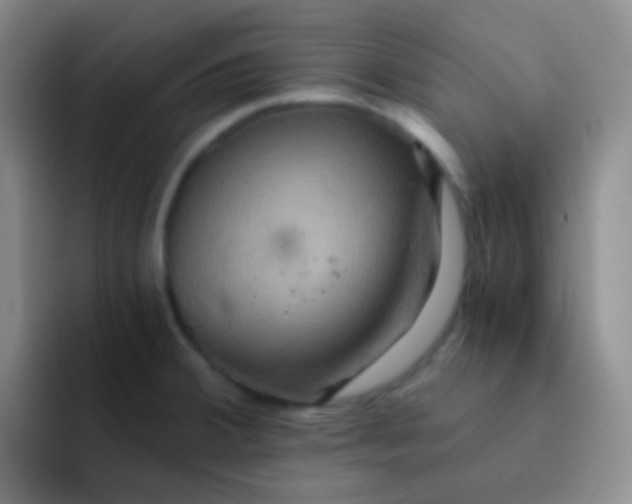 X0000091941380200709261925