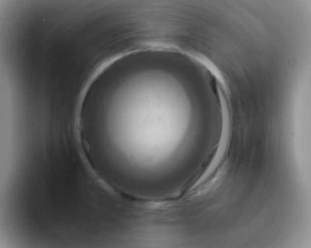 X0000091941381200709261924