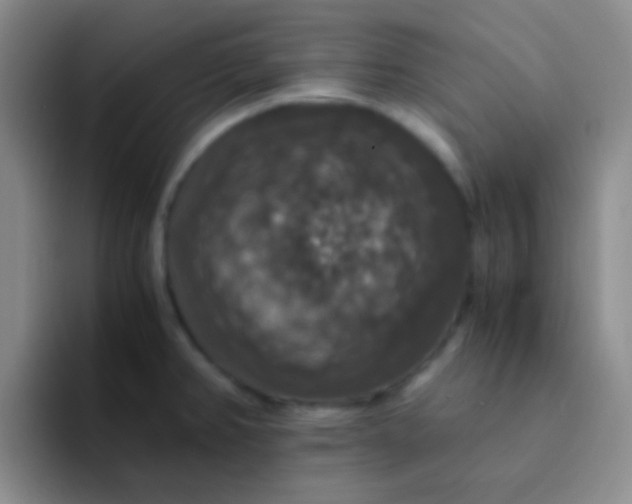 X0000091941382200709261924