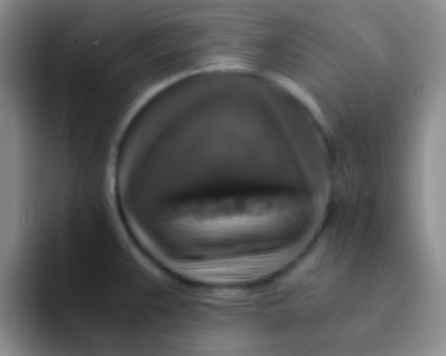 X0000091941383200709261924