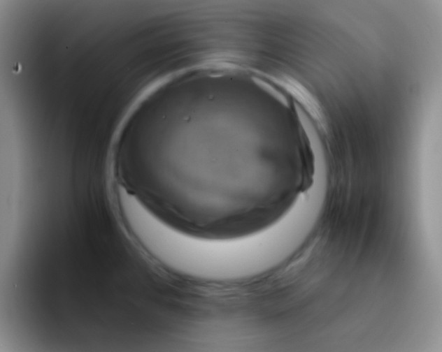 X0000091941384200709261924