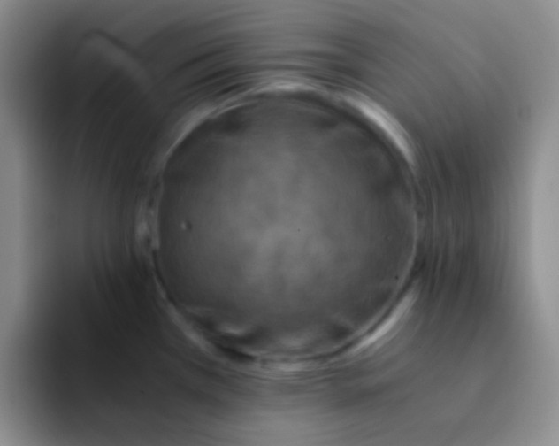 X0000091941385200709261924