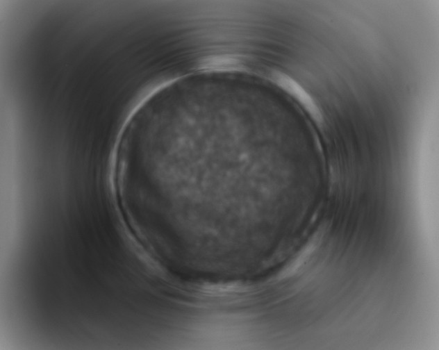 X0000091941386200709261924