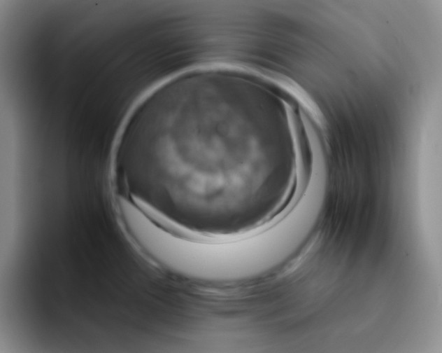 X0000091941388200709261924