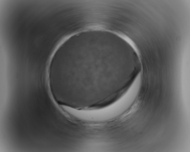 X0000091941389200709261924