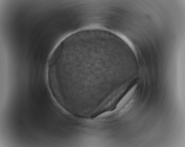 X0000091941390200709261924