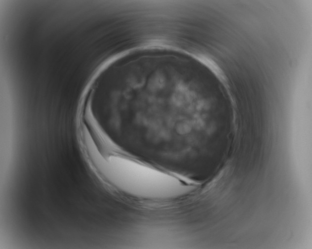 X0000091941392200709261924