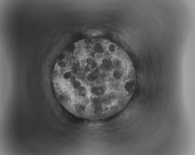 X0000091941393200709261924