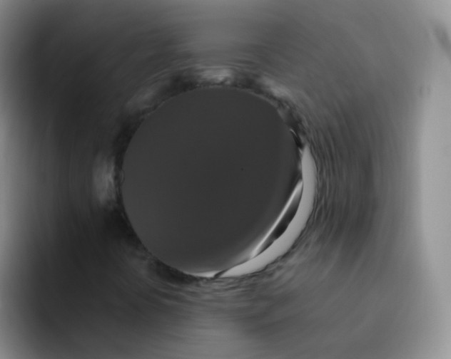 X0000091941394200709261924