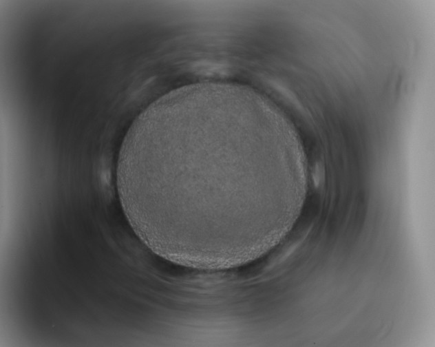 X0000091941396200709261924