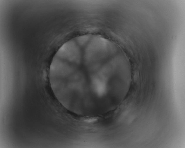 X0000091941397200709261924