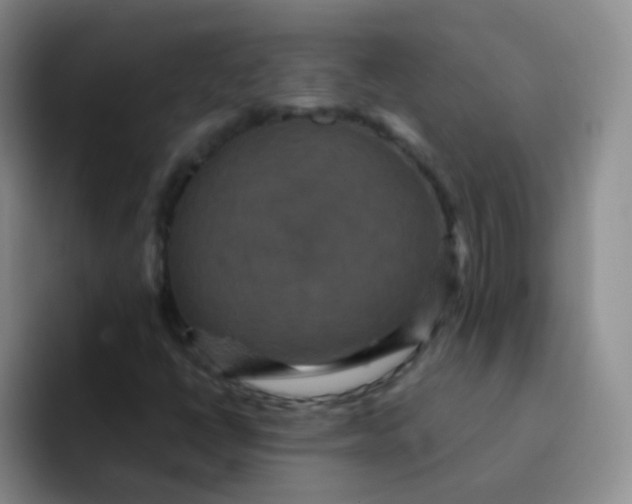 X0000091941398200709261924