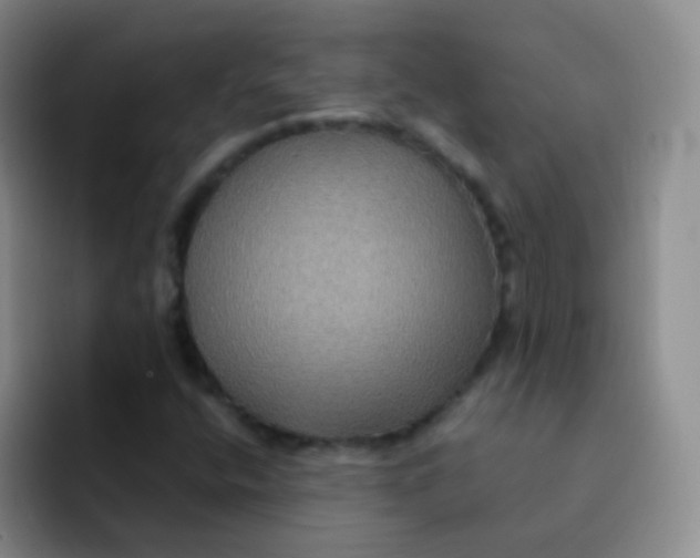 X0000091941400200709261924