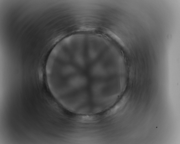 X0000091941401200709261924