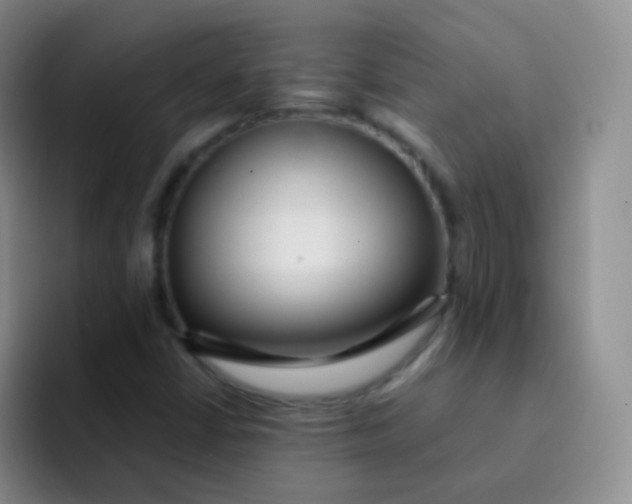 X0000091941402200709261924