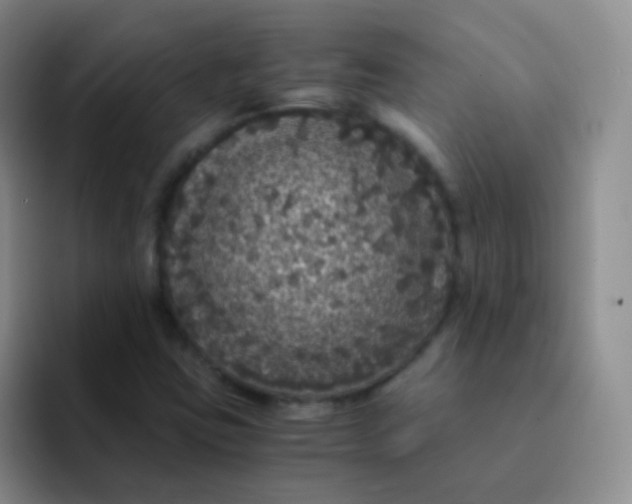 X0000091941403200709261924