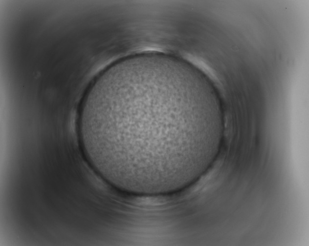 X0000091941404200709261924