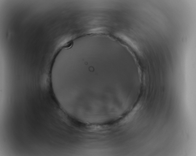 X0000091941405200709261924